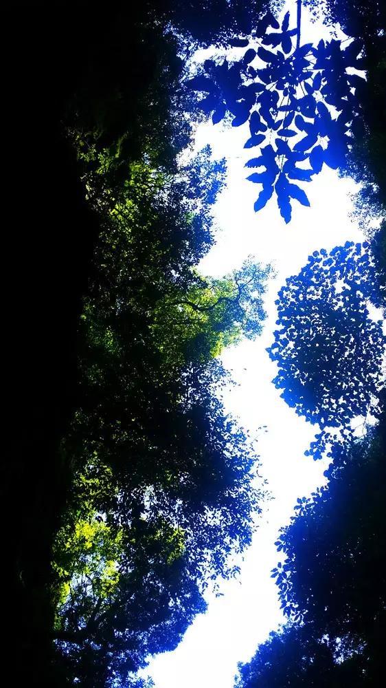 纪录片《武梁祠》热播之际 武梁祠所在地济宁市嘉祥县县长江峰向网友发出邀请