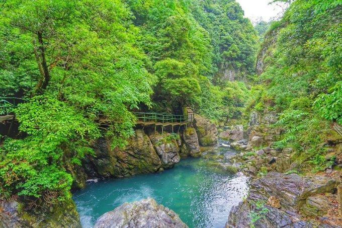 逃离椰子岛