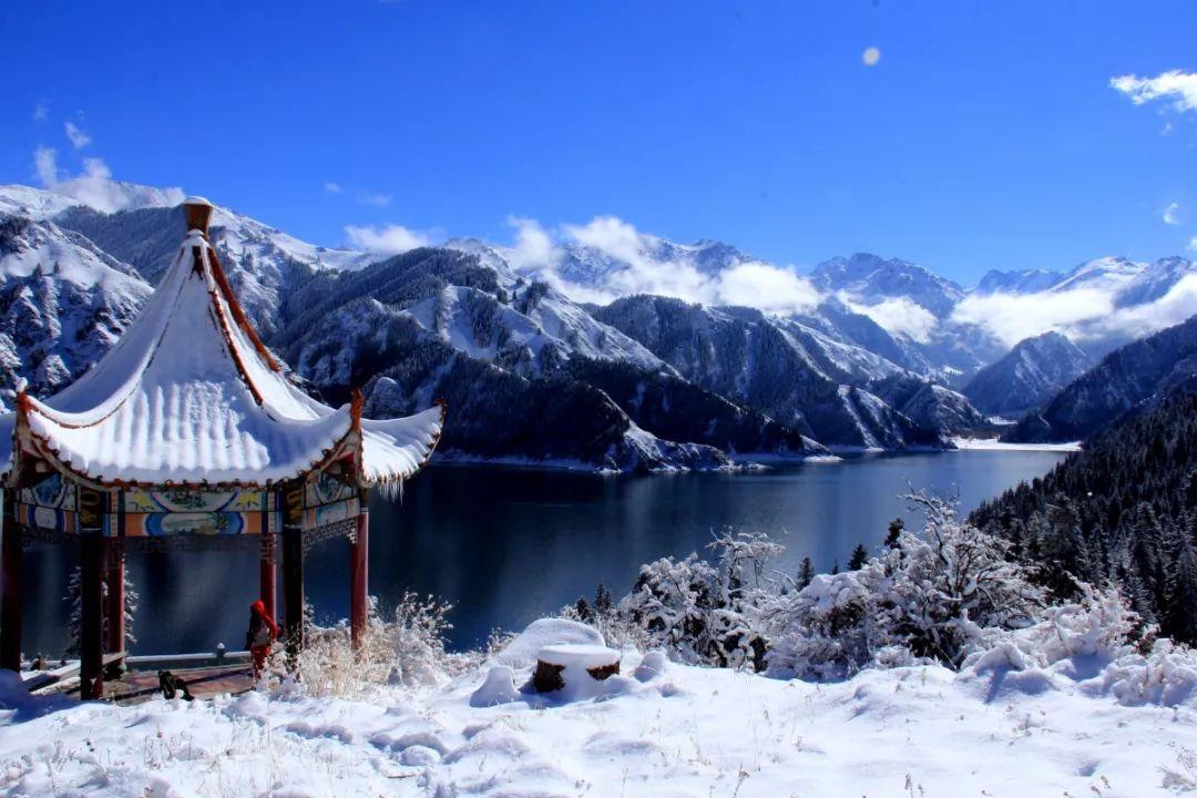 陶阿甘弹弹堂大作战